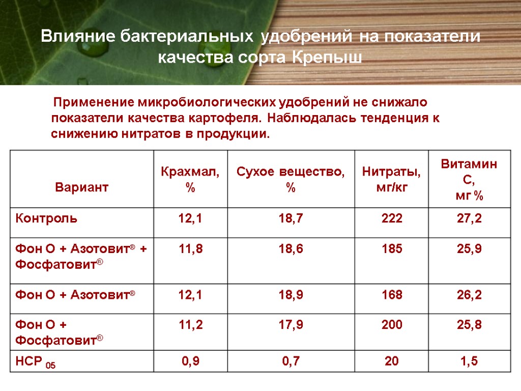 Применение микробиологических удобрений не снижало показатели качества картофеля. Наблюдалась тенденция к снижению нитратов в